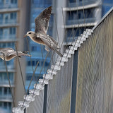 20x 50cm Bird Spike S304 wire Spikes Eaves Pigeon Gull Starling 10M - Rear View