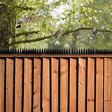 12pc Bird Spikes Human Cat Possum Mouse Pest Control Spiked Fence Wall Deterrent - Front View