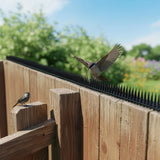 12pc Bird Spikes Human Cat Possum Mouse Pest Control Spiked Fence Wall Deterrent - 45-Degree Angle