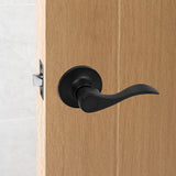 Door Handle Set Lever Passage Function Black - Front View
