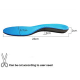 Original Dual Medium (Blue) Density Orthotics | Full Length - Rear View