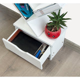 Tree Bookshelf Bookcase Book Organizer 12-Tier Multipurpose Shelf Display Racks - Low Angle