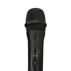 2 x Wireless Microphone Handheld Cordless Professional Mic Karaoke Receiver