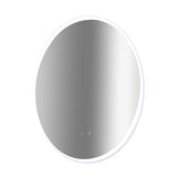 Oval Mirror LED Anti-Fog Illuminated Bathroom Living Room