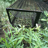 Humane Snake Trap Remove Small to Medium Snakes 2 Doors - Low Angle