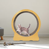 Cat Running Wheel w/ Carpet Runway Cat Exercise Wheel for Fitness Cat Treadmill - Front View