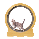 Cat Running Wheel w/ Carpet Runway Cat Exercise Wheel for Fitness Cat Treadmill - Top-Down View