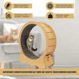 Cat Running Wheel w/ Carpet Runway Cat Exercise Wheel for Fitness Cat Treadmill