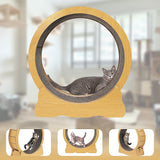 Cat Running Wheel w/ Carpet Runway Cat Exercise Wheel for Fitness Cat Treadmill - Extra Image