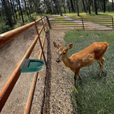 4L Water Trough Bowl with Automatic Float Valve - 45-Degree Angle