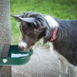 4L Water Trough Bowl with Automatic Float Valve - Front View