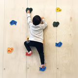 Deluxe 10 x Holds for Rock Climbing Wall Kids Outdoor Playground - Front View