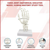 Hand Joint Anatomical Skeleton Model Human Anatomy Study Tool - Side View