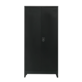 Two-Door Metal Cabinet Shelf Storage for Home Office Gym - Top-Down View