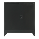 Two-Door Metal Short Cabinet Shelf Storage for Home Office Gym - Extra Image