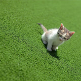 200cm x 250cm Lawn Turf Artificial Grass Mat Carpet Fake Synthetic Garden Landscape - Rear View