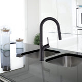 Kitchen Laundry Bathroom Basin Sink Pull Out Mixer Tap Faucet in Black - Front View