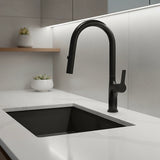 Kitchen Laundry Bathroom Basin Sink Pull Out Mixer Tap Faucet in Black - Front View