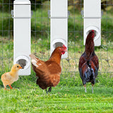 Chicken Bird Feeder Water Dispenser Automatic Waterer Poultry Food Drinker 4L - Front View