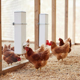 Chicken Bird Feeder Water Dispenser Automatic Waterer Poultry Food Drinker 4L - Top-Down View