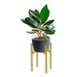 Metal Plant Stand Adjustable Indoor - 45-Degree Angle