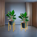 Metal Plant Stand Adjustable Indoor - Rear View