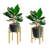 Metal Plant Stand Adjustable Indoor - Close-Up Angle