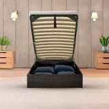 Single Gas Lift Bed Mechanism with Frame ? Storage Platform & Sofa Bed Kit