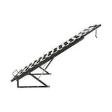 King Single Gas Lift Bed Mechanism with Frame ? Storage Platform & Sofa Bed Kit