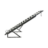 King Single Gas Lift Bed Mechanism with Frame – Storage Platform & Sofa Bed Kit - Low Angle