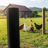 30m Black Chicken Wire Mesh Roll – Heavy Duty Aviary Netting & Garden Fencing for Poultry Enclosures - Front View