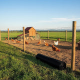 30m Black Chicken Wire Mesh Roll – Heavy Duty Aviary Netting & Garden Fencing for Poultry Enclosures - Low Angle