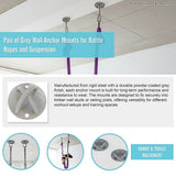 Pair of Grey Wall Anchor Mounts for Battle Ropes and Suspension - Low Angle