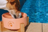 Pet Ceramic Bowl with Wooden Stand - Front View