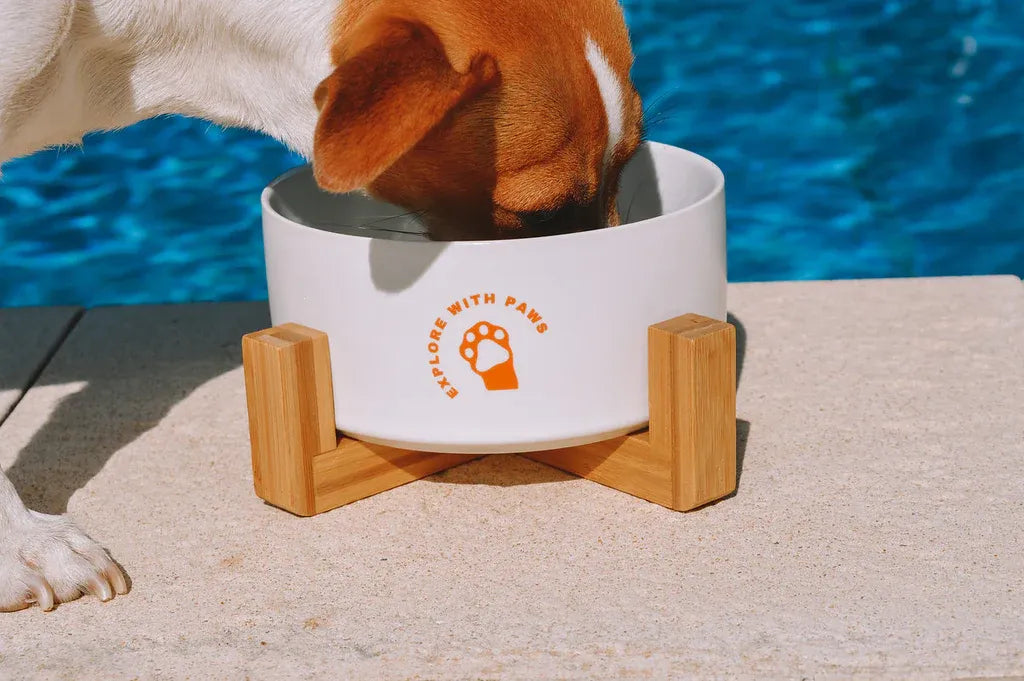 Pet Ceramic Bowl with Wooden Stand