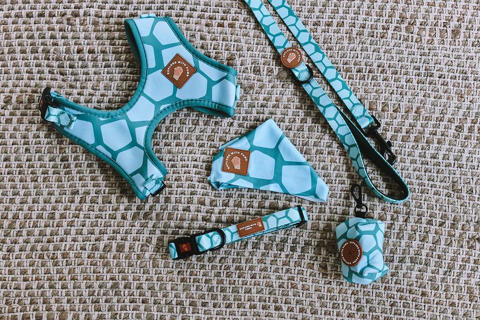 Dog Accessories Bundle Packaged