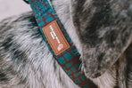 Designer Dog Collars