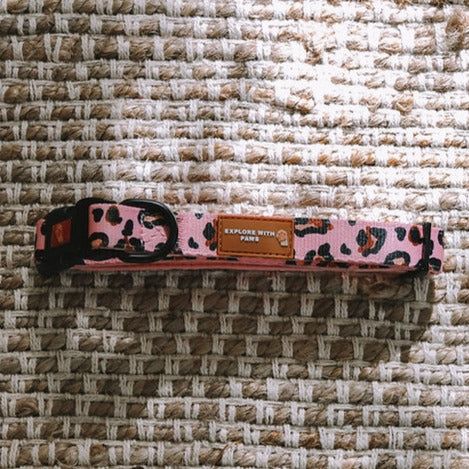 Designer Dog Collars
