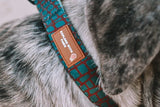 Designer Dog Collars - Front View