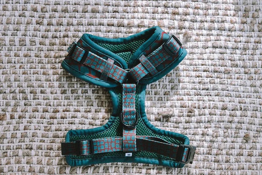 Designer Dog Harness