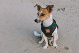 Designer Dog Harness - Side View