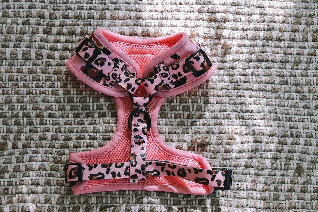 Designer Dog Harness