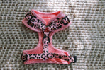 Designer Dog Harness