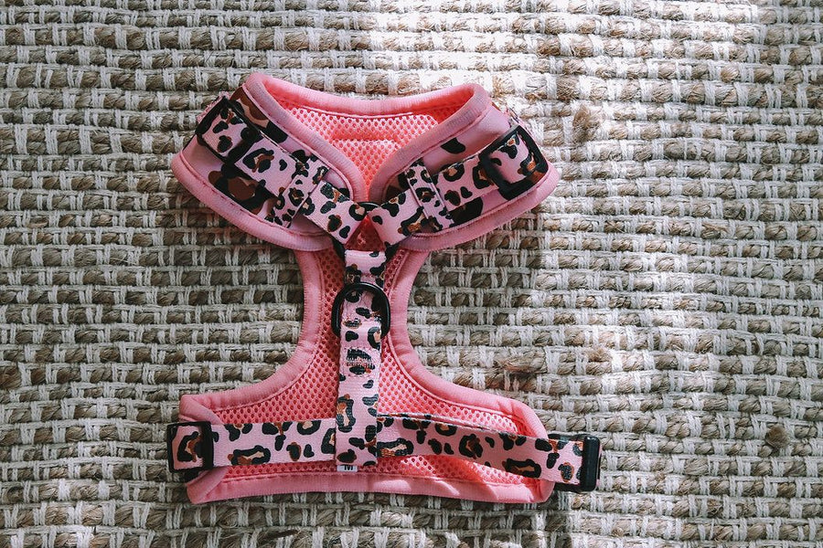 Designer Dog Harness