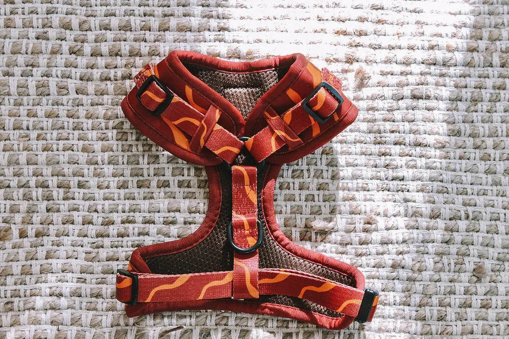 Designer Dog Harness