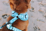 Designer Dog Harness - Side View