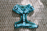 Designer Dog Harness - Front View