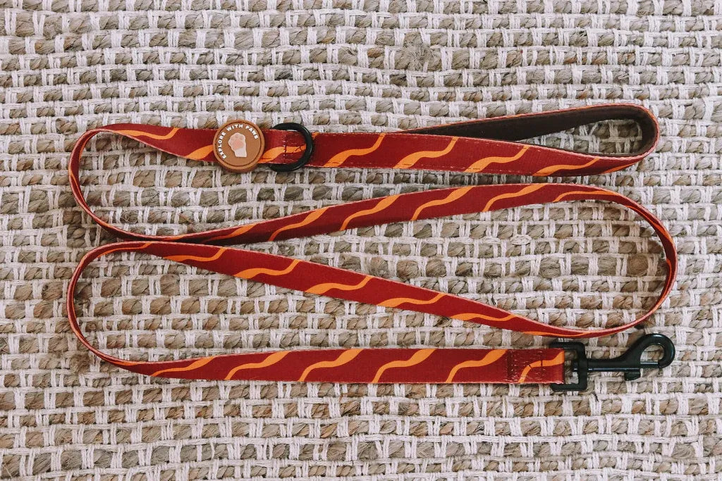 Designer Dog Leads