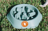 Pet Slow Feeder Bowl