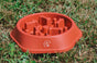Pet Slow Feeder Bowl